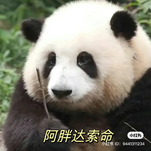 超过两行字的答案都不想看